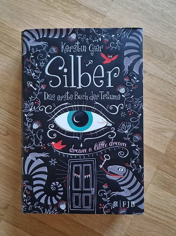 Livres: Silber: Das erste Buch der Träume / Kerstin Gier – D'occasion à Arlesheim par evi_gm8h
