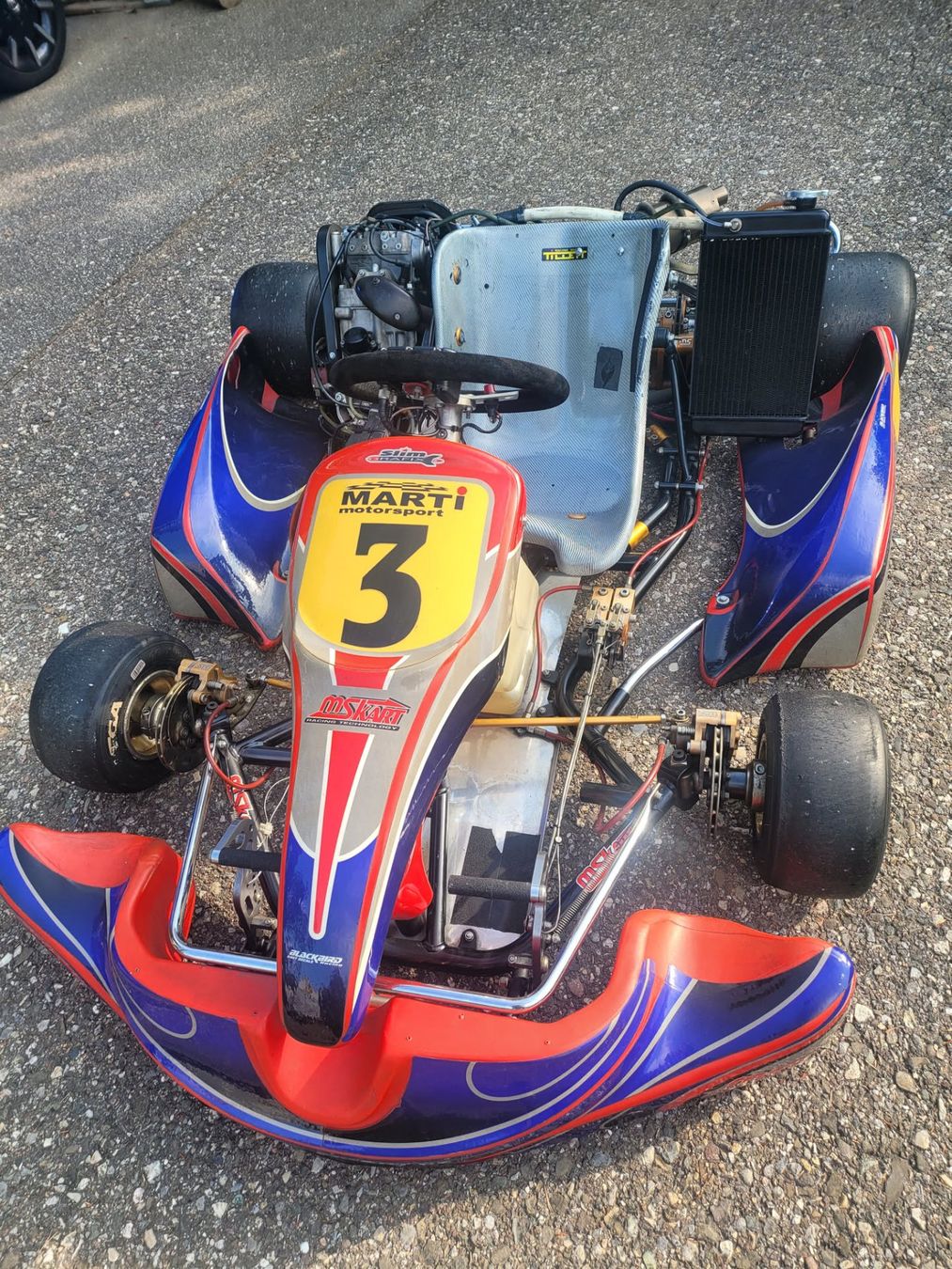 Karts: Rennkart MMS-Biland 250er – D'occasion à Bretzwil par Electronik01
