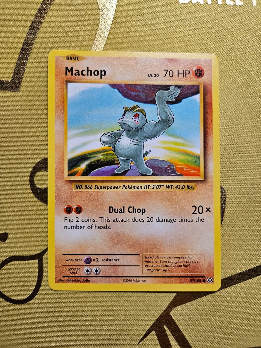 Pokémon Carte collezionabili: Evolutions - Machop 57/108 – Usato da Bellinzona venduto da Pokemarco