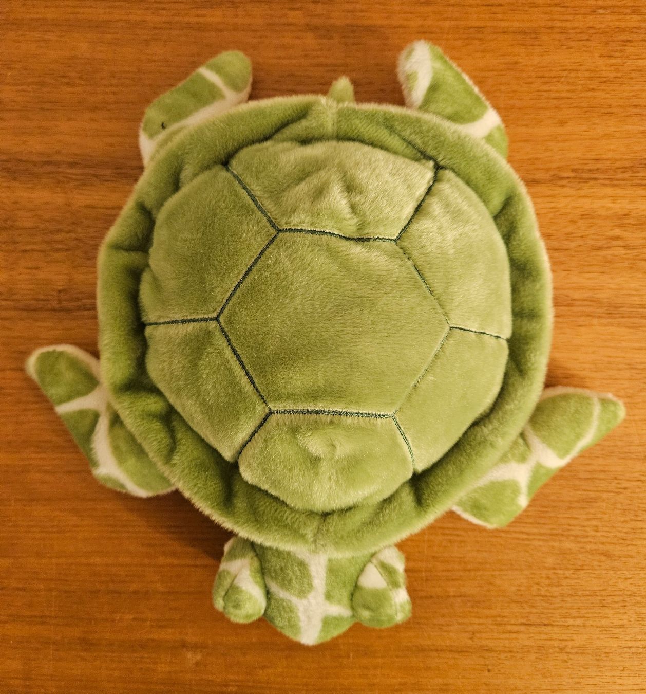 Spielzeuge: Schildkröte Plüschtier 25cm – Gebraucht aus Chur von Brigma02 2