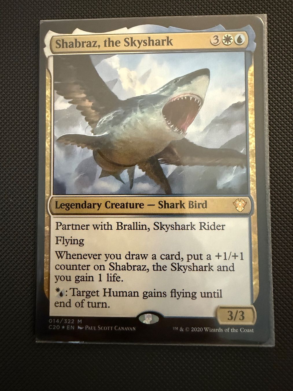 Magic The Gathering Carte collezionabili: Shabraz, the Skyshark Foil – Usato da Ulisbach venduto da joelsj
