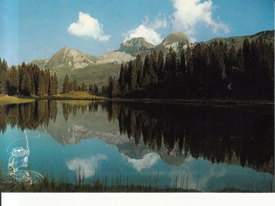 Cartoline postali: Seeblisee 1988 – Usato da Bürglen TG venduto da StampGraf