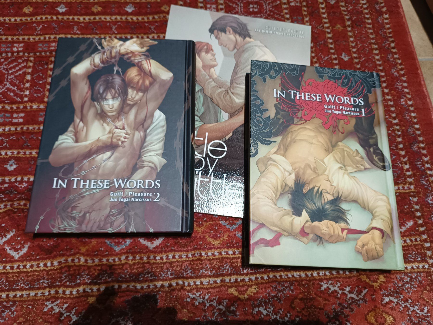 Fumetti: In these words 2 tomes manga yaoi – Usato da Sierre venduto da le_marcheur