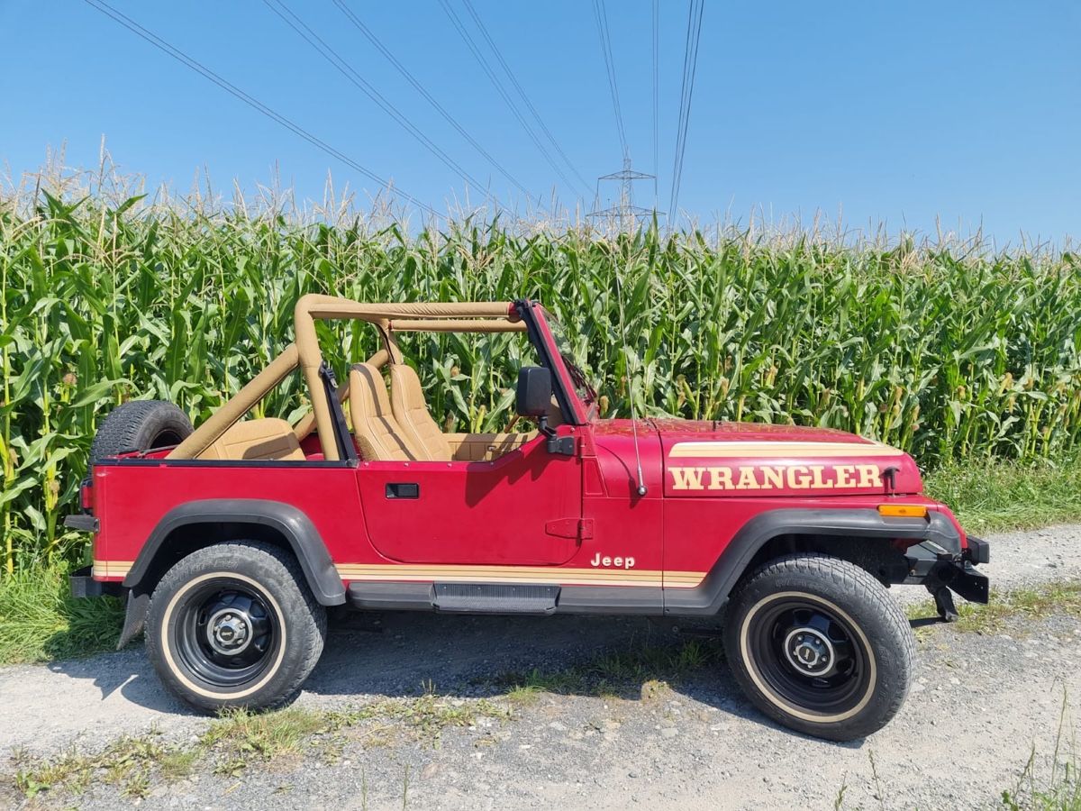 Jeep Automobili: Jepp Wangeler Auto – Usato da Menzingen venduto da Edelmuni7