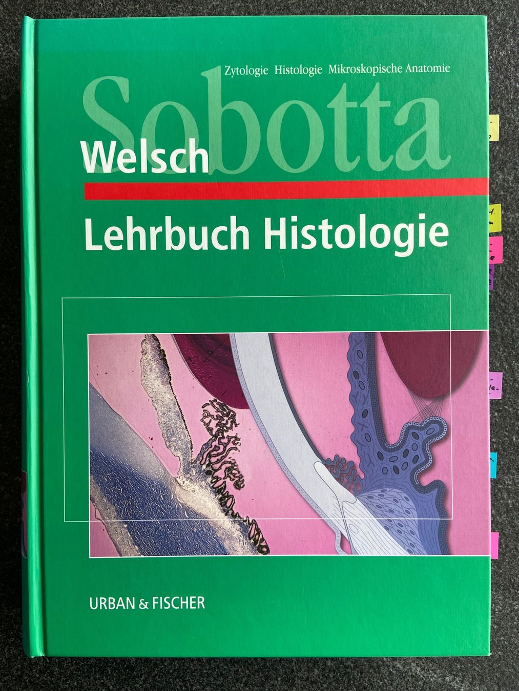 Bücher: Sobotta Lehrbuch Histologie – Gebraucht aus Schwarzenburg von Aha016