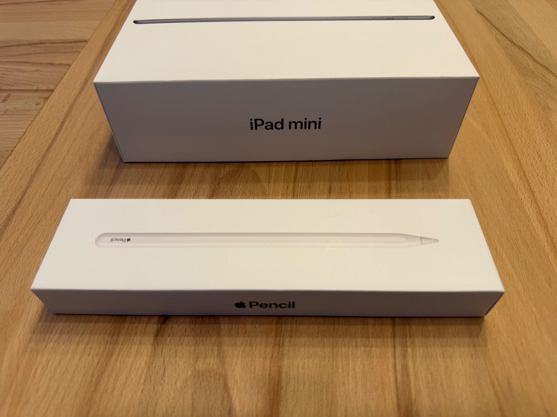 Apple Tablet PC: Neuwertiges iPad mini inkl. Stift – Gebraucht aus Wallbach von 10merlin