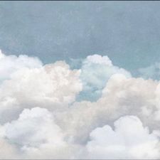 Profile image of wisemagpie