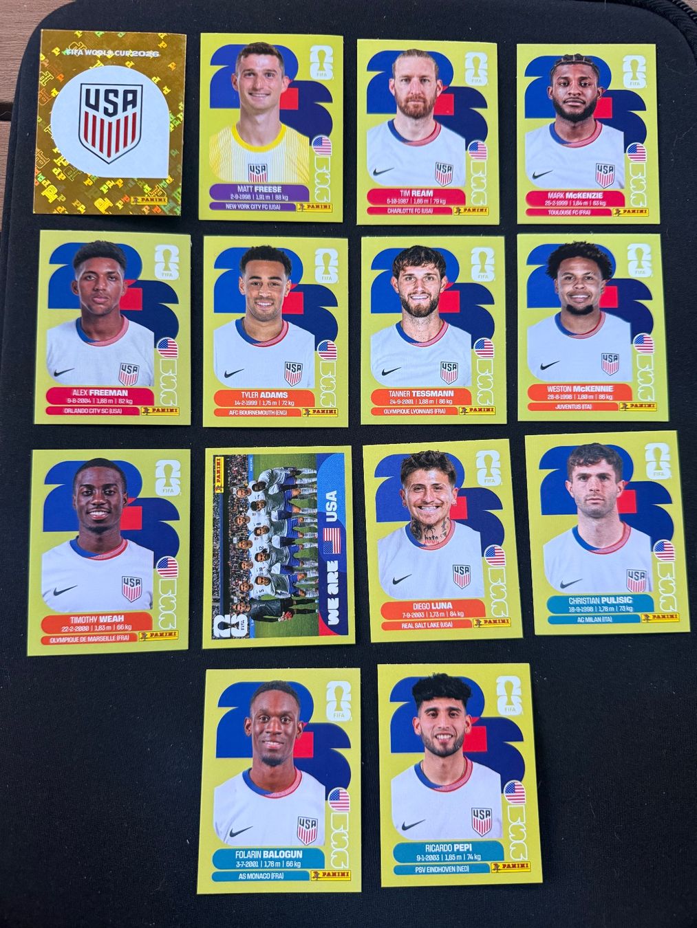 Panini Carte collezionabili: USA - Panini WM 2026 Sticker – Nuovo (secondo la descrizione) da Lyss venduto da elm_66m6