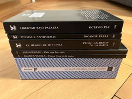 Spanischsprachiges Literatur-Paket - von Cervantes bis Paz