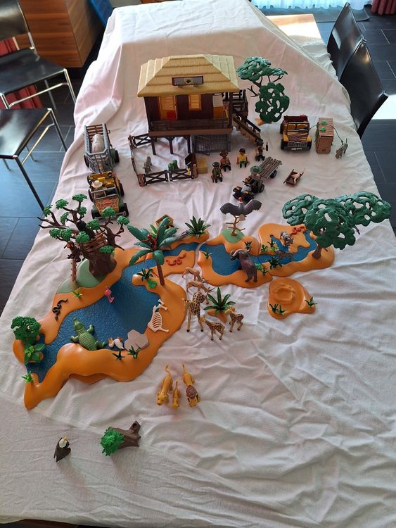 Playmobil wild life 70766 Rangerstation (Gebraucht) in Muri b. Bern für