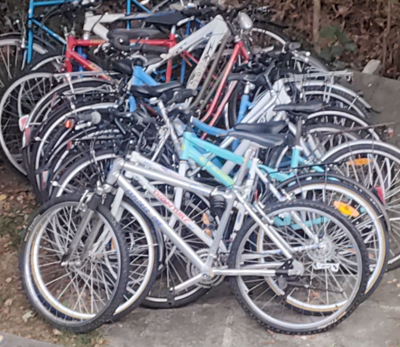 Biciclette: Fahrräder verschiedene Modelle Zustand siehe Bilder – Usato da Wetzikon ZH venduto da SparrowJack111