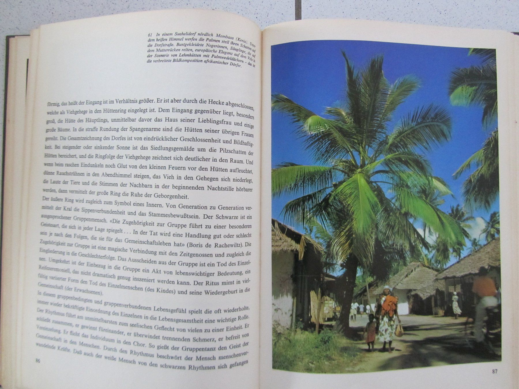 Libri: Afrika, Wüste Steppe Urwald - Silva Buch von 1963 – Usato da Weiningen ZH venduto da dietsch57 7