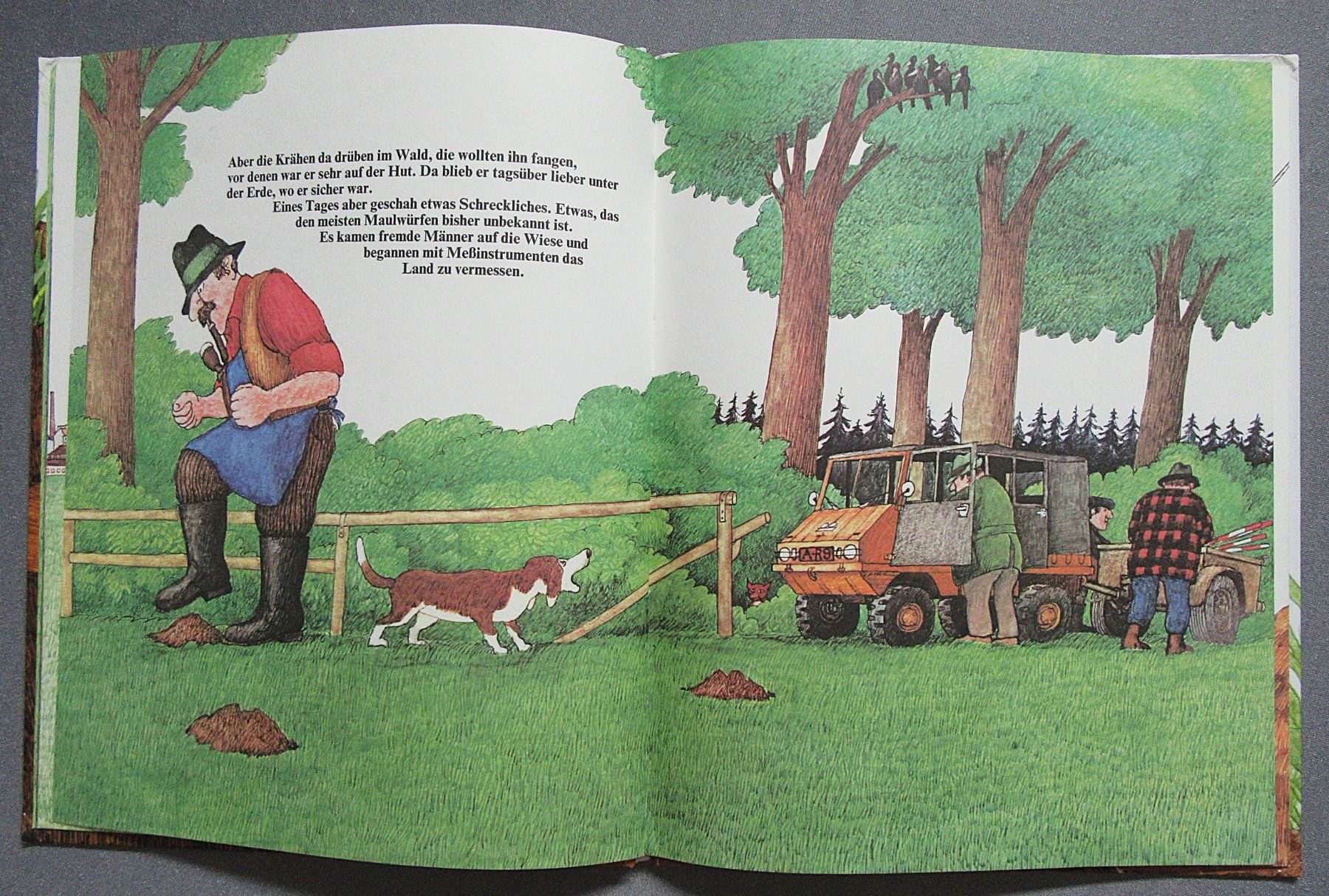 Bücher: Der Maulwurf Grabowski - ein Kinderbuchklassiker – Gebraucht aus Auenstein von Padabimbim 4