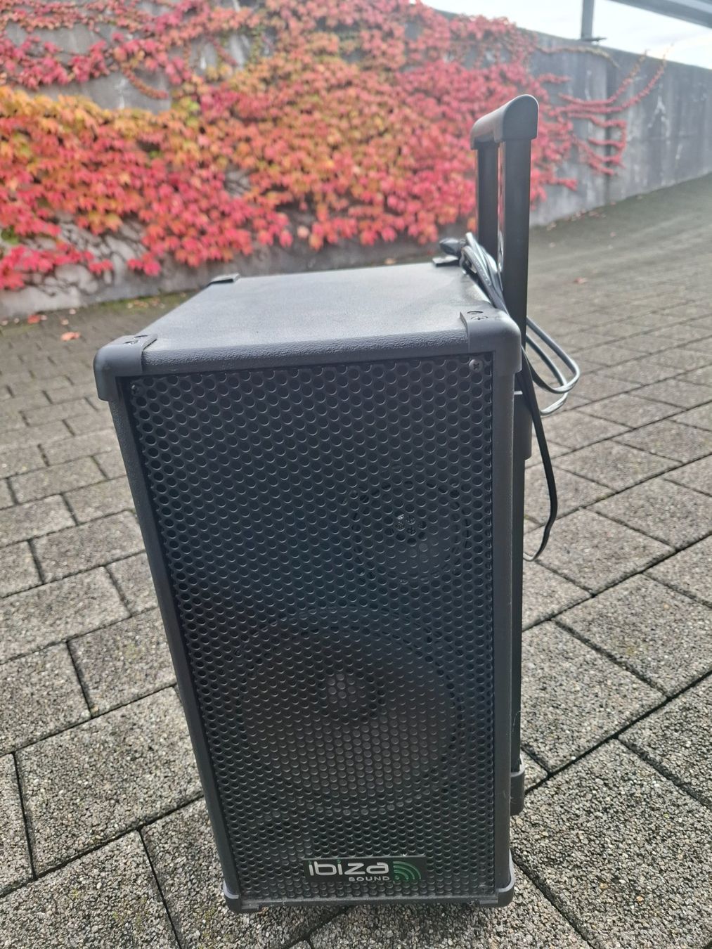 Sistemi audio & multimediali: Karaoke Gerät – Usato da Kaltbrunn venduto da Sunshine015 1