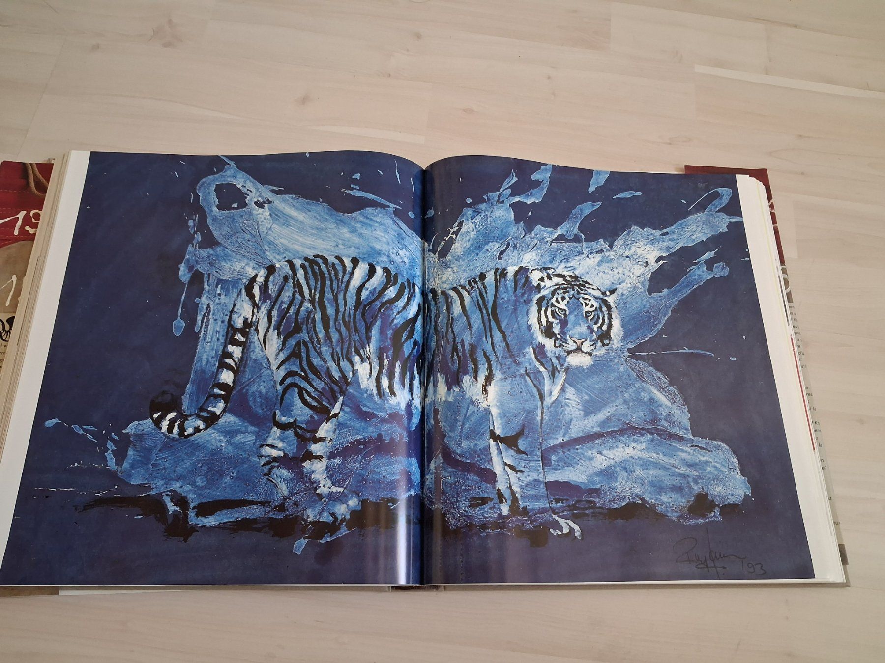 Libri: ROLF KNIE BUCH HALBZEIT – Usato da langnau venduto da Santos1411 1