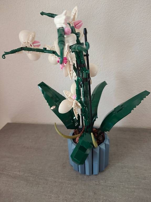 Giocattoli: Lego Orchideen Set – Usato da Kirchberg BE venduto da naa_lxk5 2