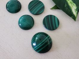 5Stk. Malachite Cabochon, Platte TOP-Qualität / Sondererkauf