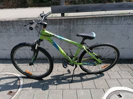 Velo Fahrrad Giant Revel