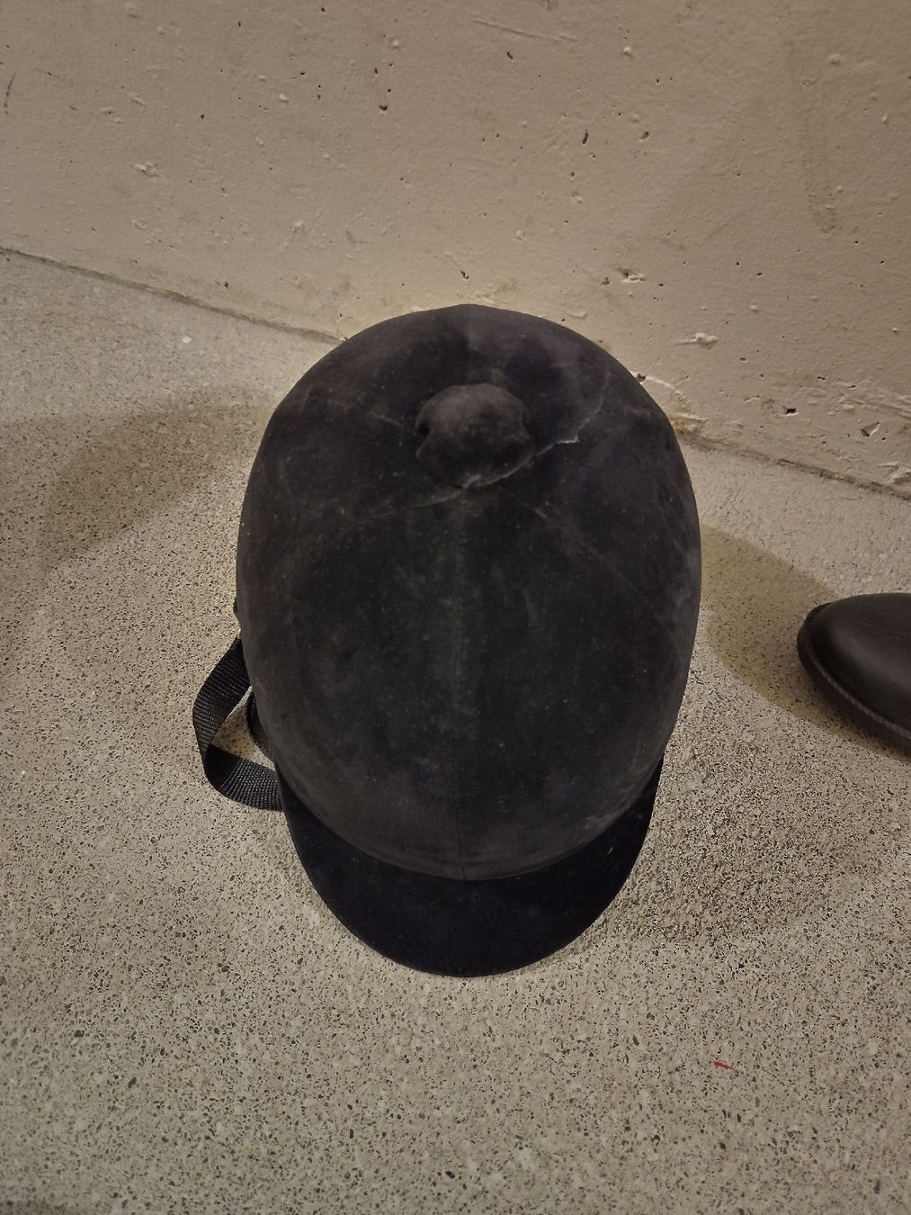 Felix Bühler Caschi: Reithelm samt Damen Gr. 54 – Nuovo (secondo la descrizione) da Rotkreuz venduto da Wirbelprinzessin