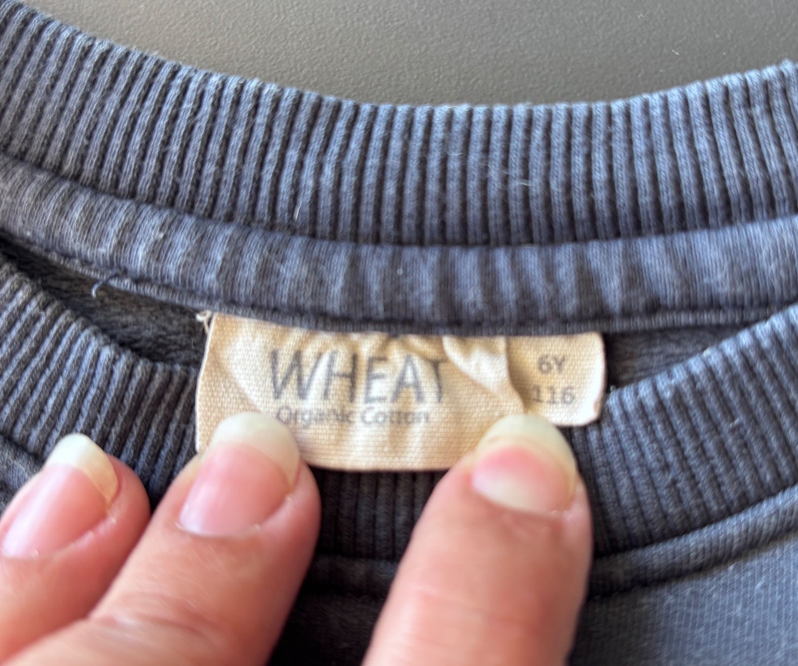 Wheat Maglioni & Felpe: WHEAT bio Baumwolle Sweater Grösse 116 – Usato da Brugg AG venduto da tsannen 2