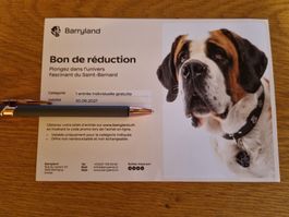 Bon pour une entrée à Barrylande