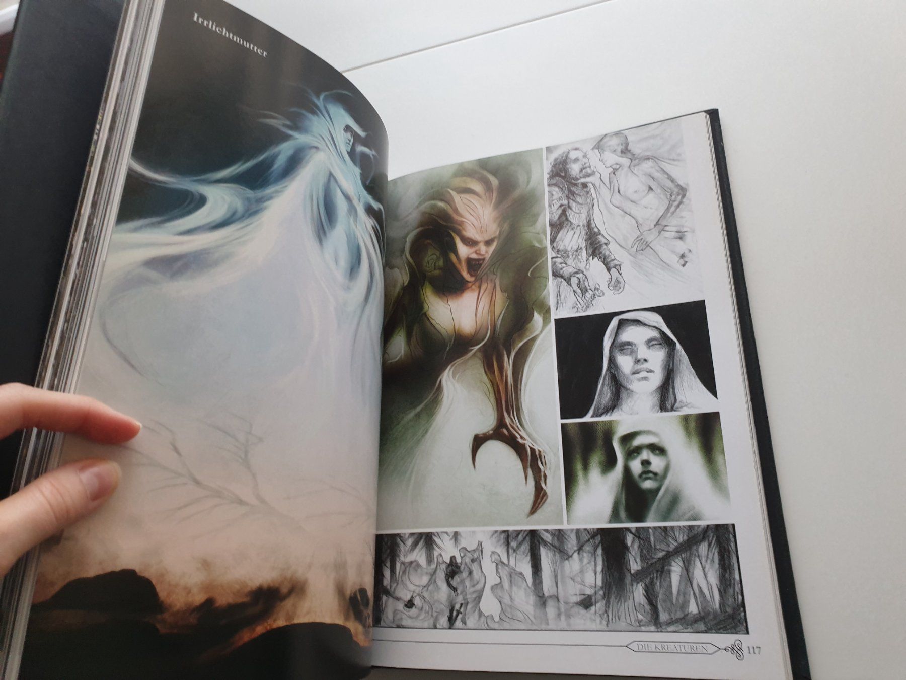 Libri: Skyrim Collectors Edition Artbook – Usato da Zürich venduto da pau_y8mv 4