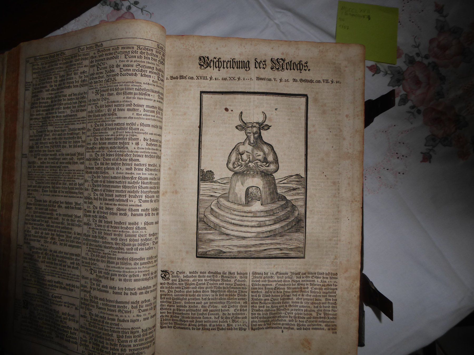 Bücher: bibel – Gebraucht aus Gutenswil von jessjca 2