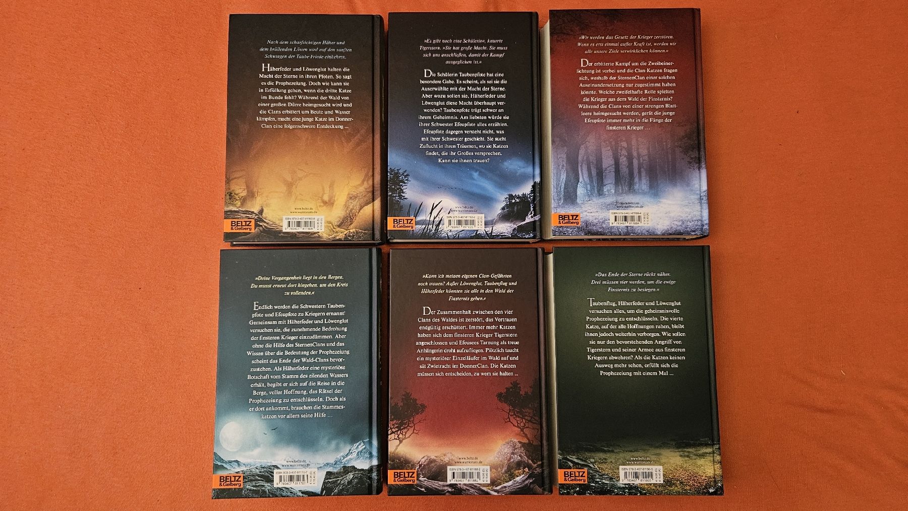 Bücher: Warrior Cats Staffel 4 – Gebraucht aus Grenchen von ailina_aeschlimann 2