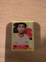 Panini Bild NZL 4