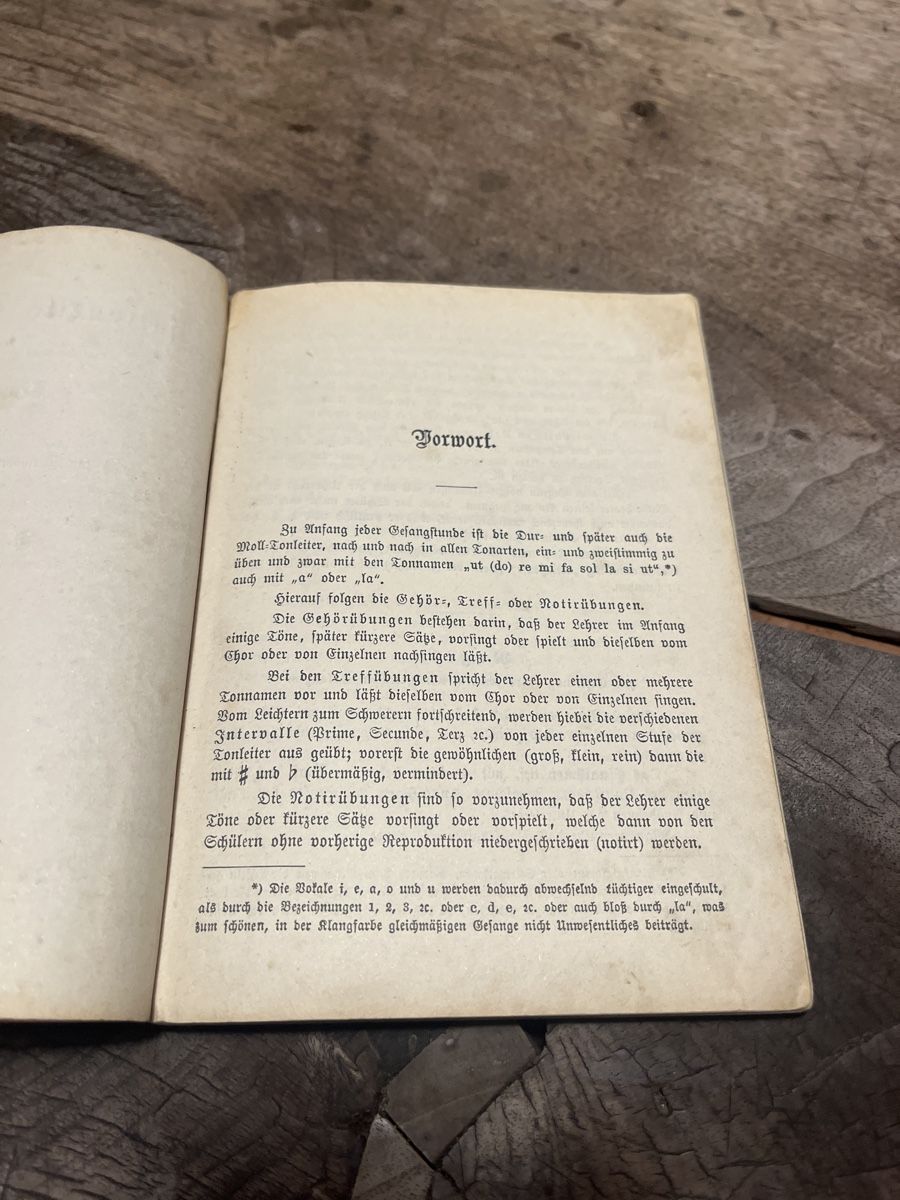 Libri: Antikes Gesangbuch, handschriftlich, 1852 – Usato da Zuoz venduto da Grr1974 3