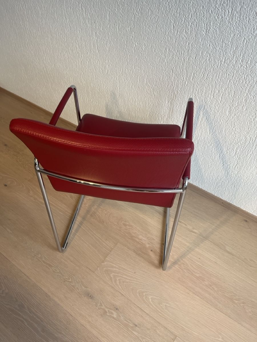 Sedie: 6 Esszimmerstühle – Usato da Münsingen venduto da mst311 3