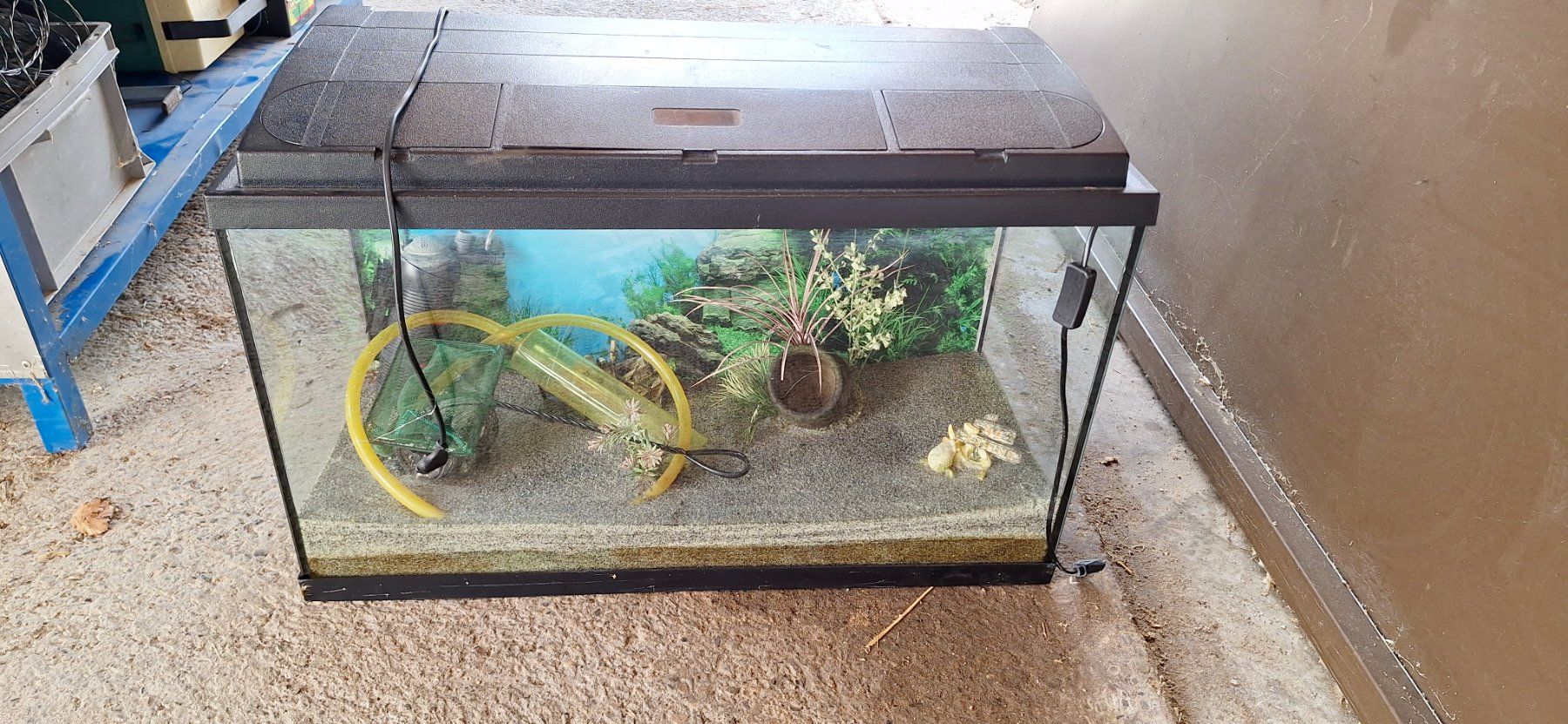 Acquari: Aquarium – Usato da Les Enfers venduto da Begnon