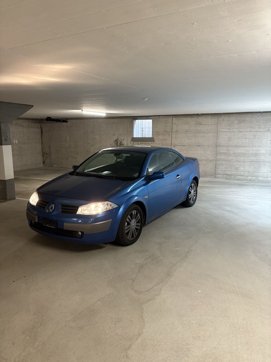 Renault Automobili: Renault Megane 2.0 16V – Usato da Giebenach venduto da jas_s7dt 4