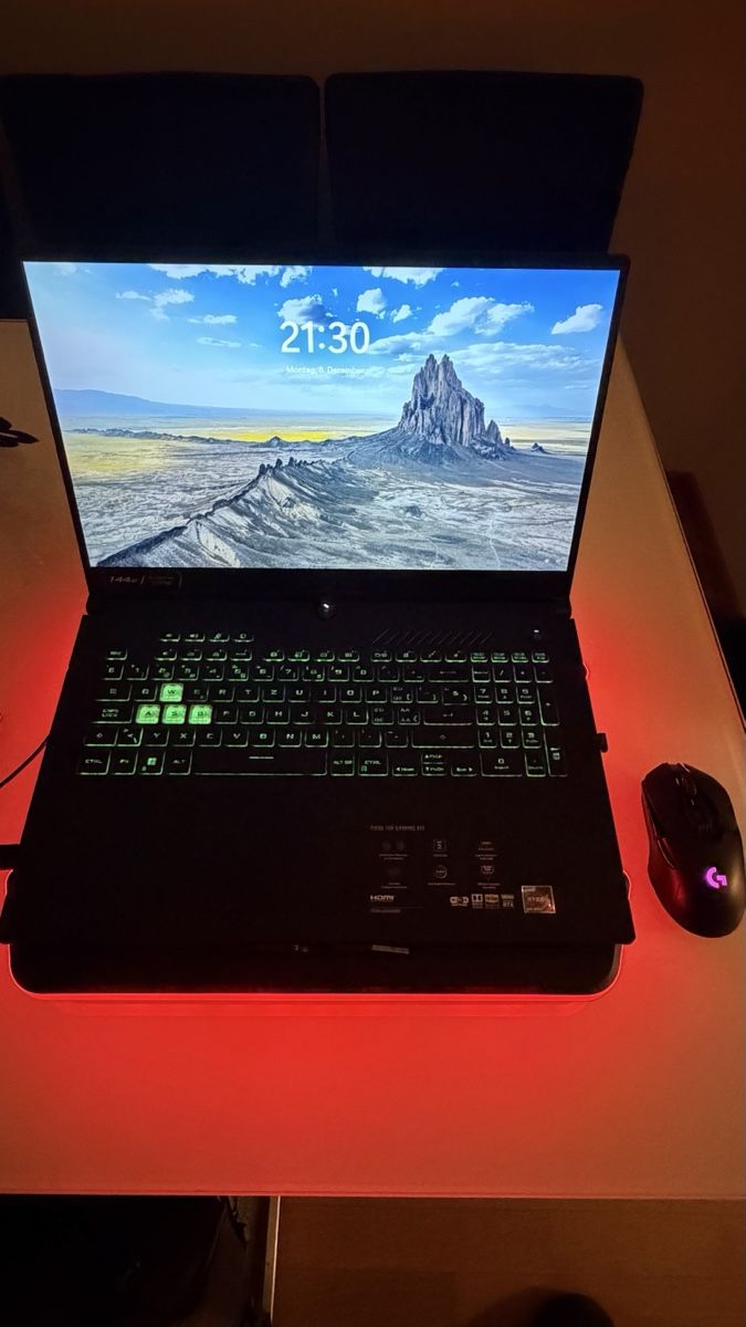 Asus Notebook: Gaming Laptop ASUS TUF A17 – Usato da Niederuzwil venduto da Ismailb12 2