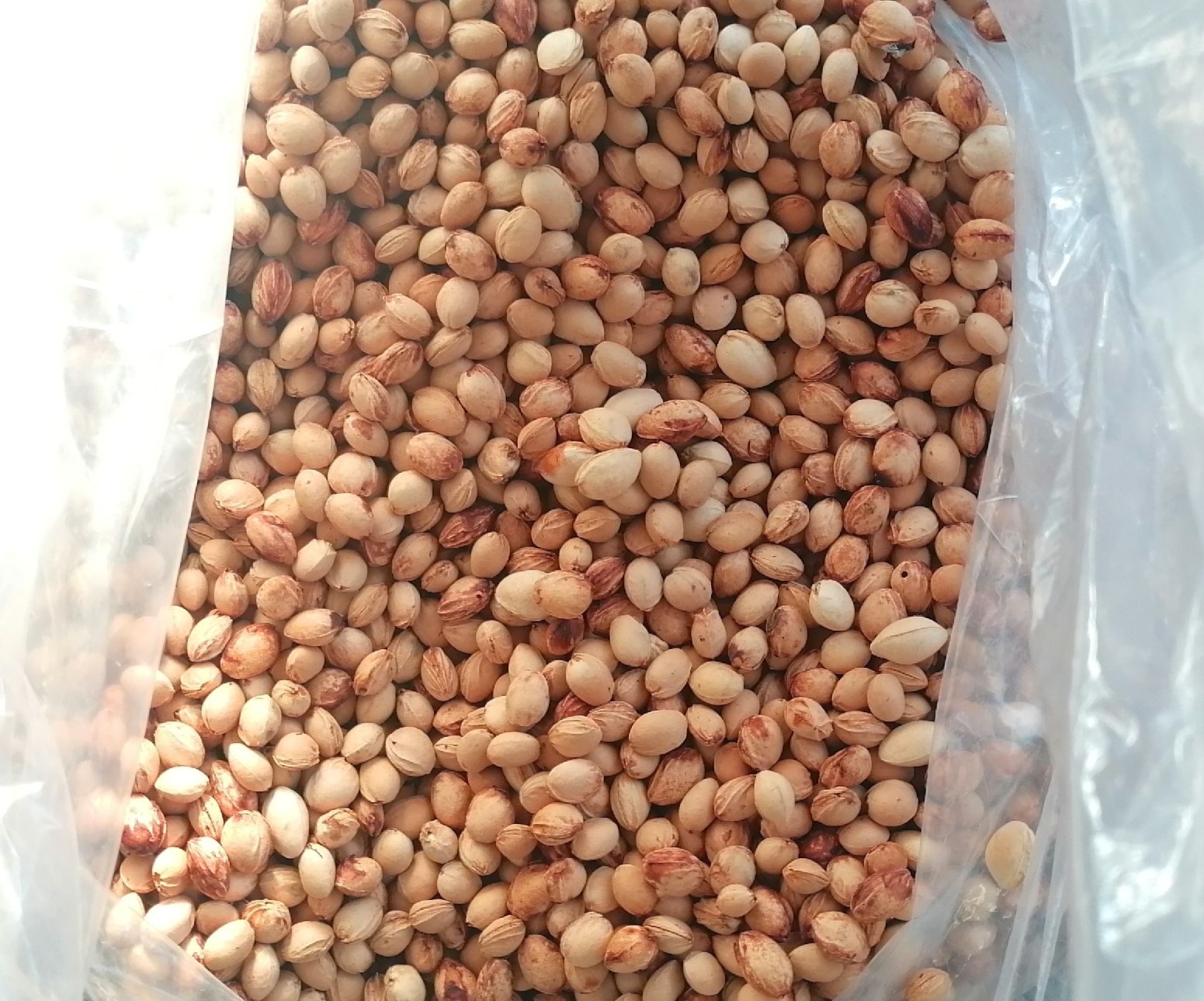 Materiale di riempimento: 2kg gereinigte Kirschensteine – Usato da Schwarzenegg venduto da musi09