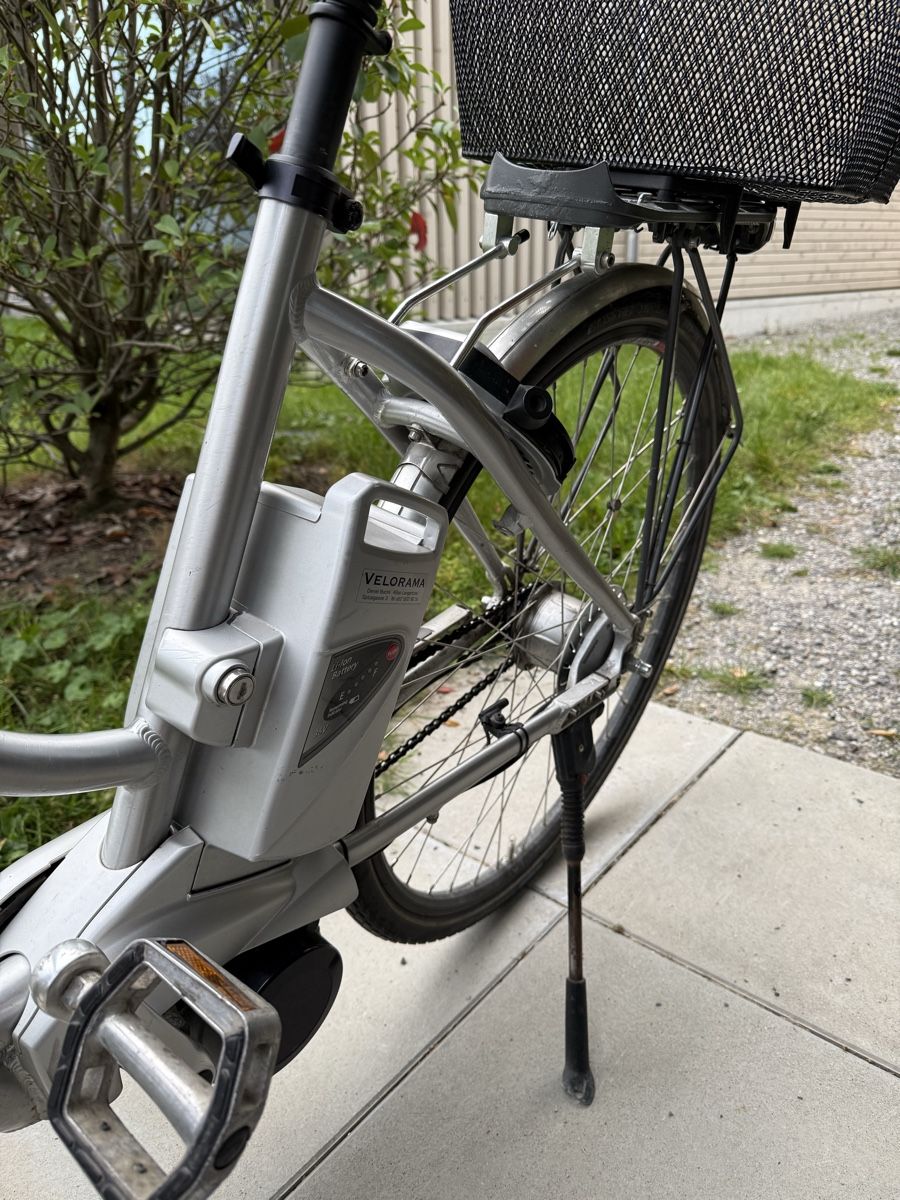 Flyer Biciclette: E-Bike Flyer  – Usato da Langenthal venduto da Nina_Leonie 5