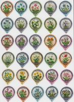 33E Wald und Wiesenblumen Gastro