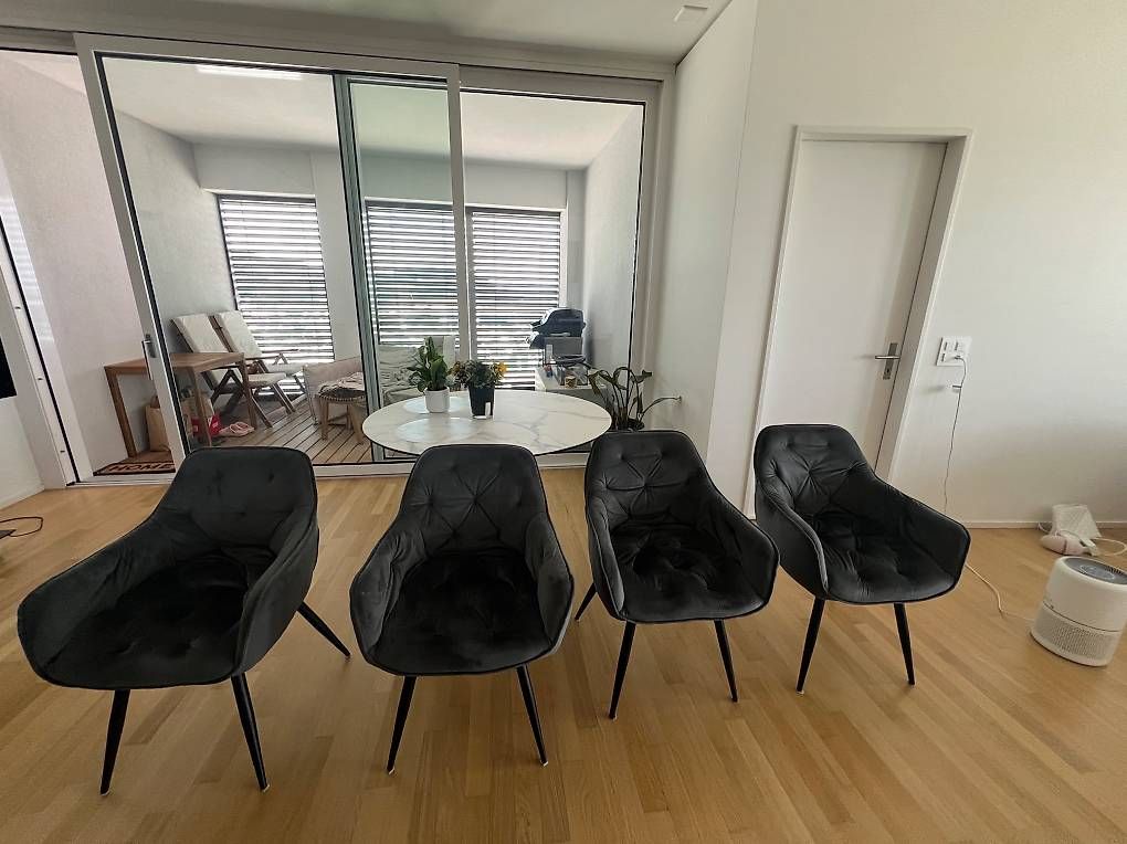 Sedie: Esszimmer Stühle – Usato da Pratteln venduto da ezg_2wmx 2