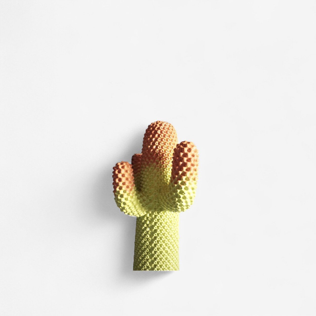 Statuette: Gufram Cactus Metacactus Edition – Usato da Tägerwilen venduto da jwolfstudio 1