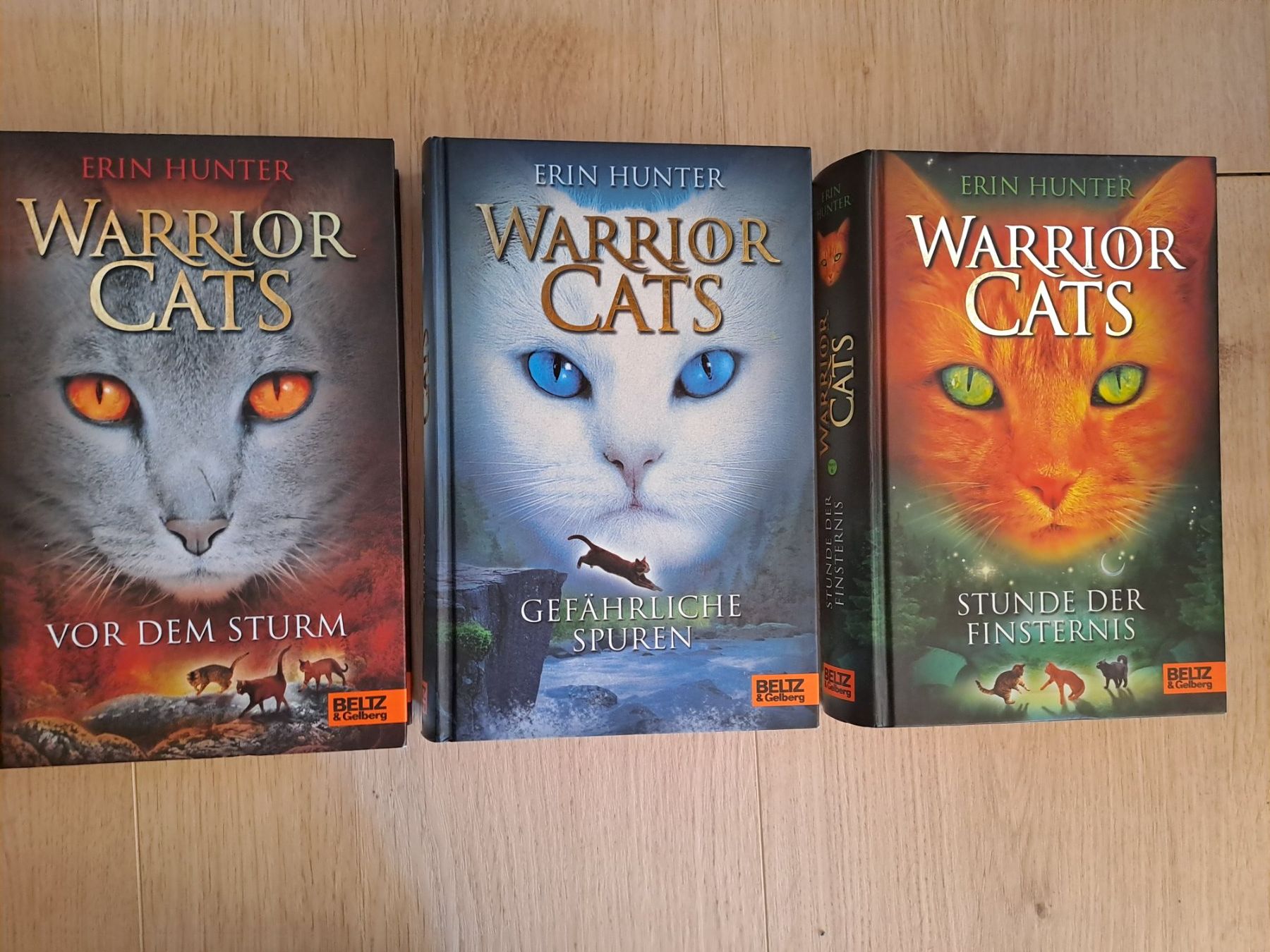 Libri: Warrior Cats Staffel 1 Band 4-6 – Usato da Untereggen venduto da ros_kz89