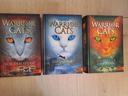 Warrior Cats Staffel 1 Band 4-6