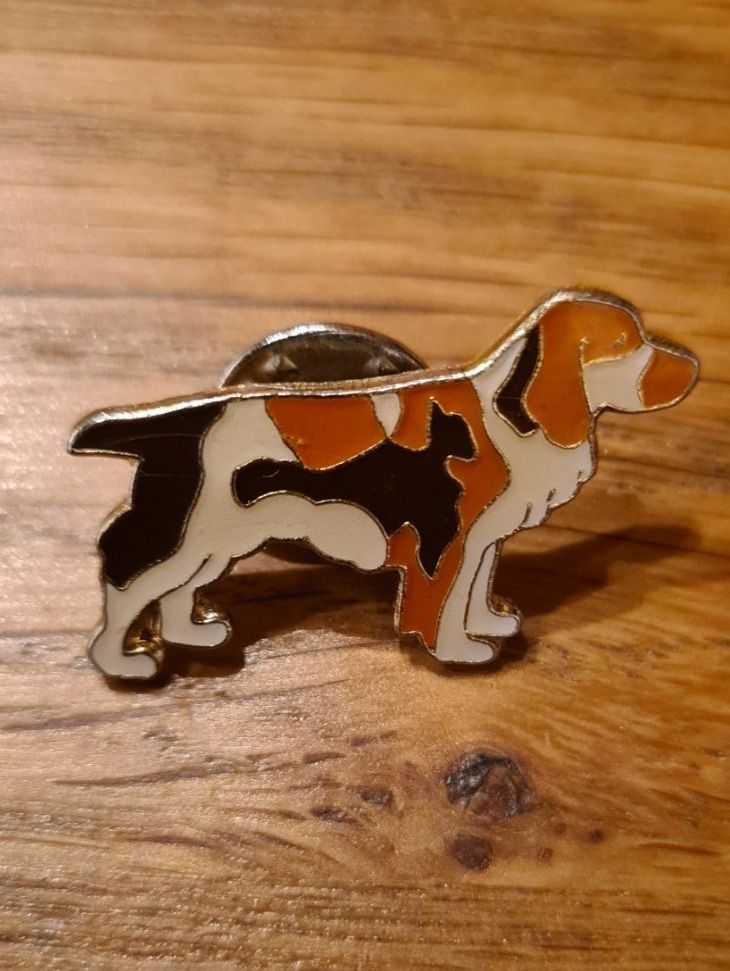 Placchette & Badge: Pin, Hund – Usato da Winkel venduto da Heuresis