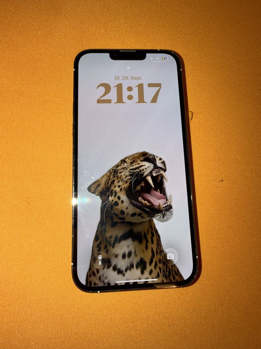 Apple Portables: IPHONE 13 PRO MAX 256 GB Weiss – Neuf (Voir description) à Biel/Bienne par sil_5rxs 6