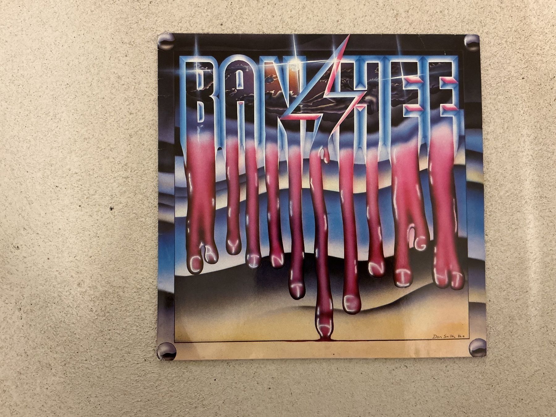 Dischi in vinile: Banshee LP - Cry in the Night – Usato da Winterthur venduto da Tumko_7_Vinyl