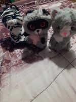3  Plüschtiere Set Zebra Waschbär Katze