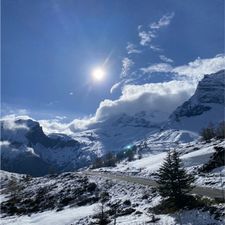 Profile image of sau_der