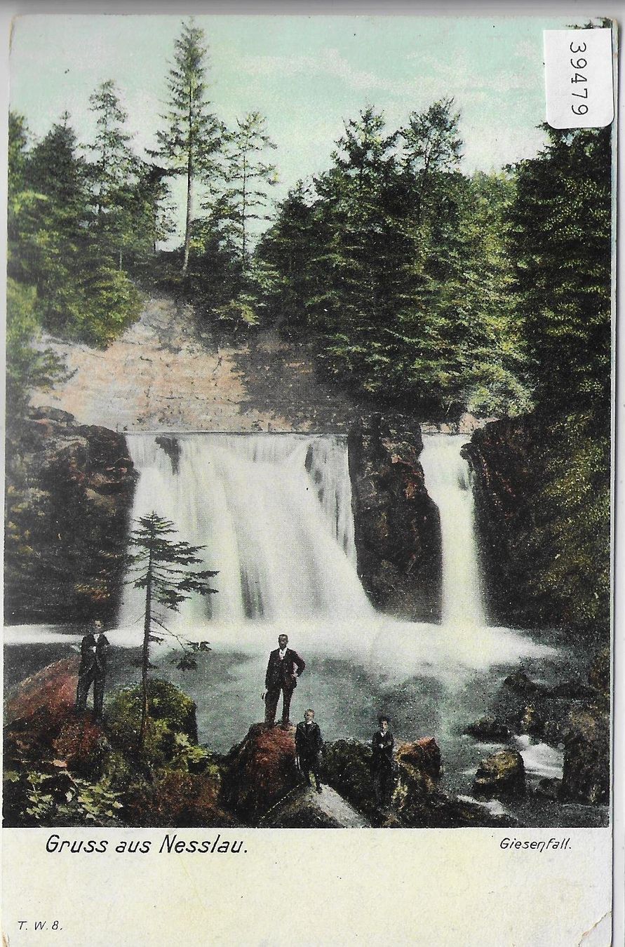 Cartoline postali: Gruss aus Nesslau - Giesenfall - animee – Usato da Ettingen venduto da Kartenplanet