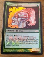 Magic the Gathering Karte Llanowar Elves foil Gateway Promos