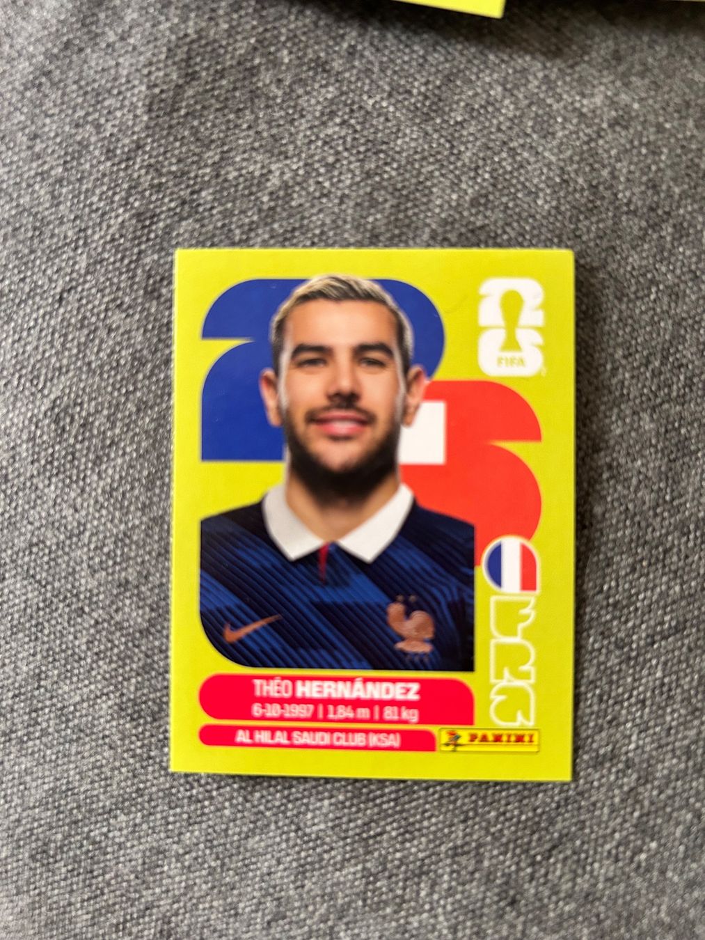 Panini Carte collezionabili: Panini 2026 FRA 3 – Nuovo (secondo la descrizione) da Genève venduto da annedev