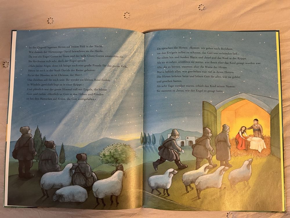 Die Weihnachtsgeschichte: Kinderbuch zur Weihnachtszeit (Gebraucht) in